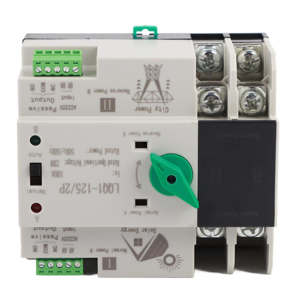 Dual Power Automatic Transfer Switch 2P Millisecond Circuit Fast Controller AC230V 100A Household PV