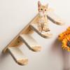 Natural Wood Cats Climbing Ladder Wall Mounted Space Efficient Design Activity Toy For Small Home And Pet Entertainment