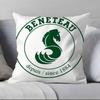 Cartoon B-BeneteauS Y-Yachts Pillow Case Anti-dustmite Pillowcase Invisible zipper silky short plush Sofa cushion cover