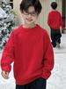 Boys' Non-Pilling Warm Knit Sweater, Korean Style, Long-Sleeved, Autumn/Winter 2025
