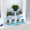 Multi-layer Oval Window Sill Display Shelf