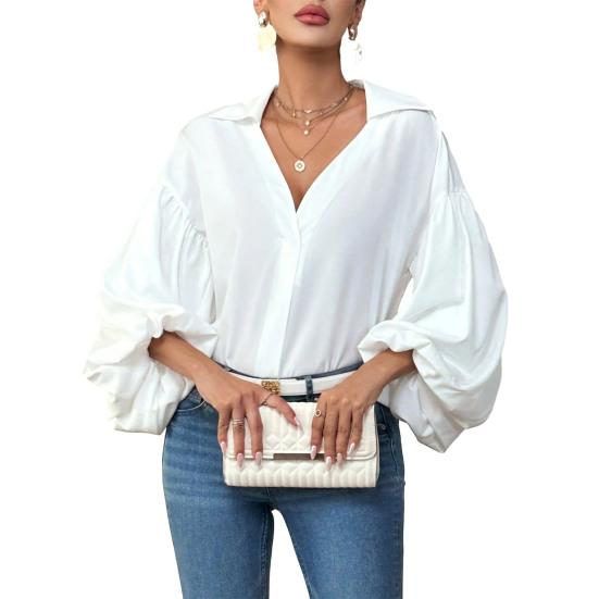 Women Shirt Lapel Half Open Collar Puff Long Sleeve Shirt Tops A-Line Tunic Soft Chiffon Casual Blouse Daily Wear