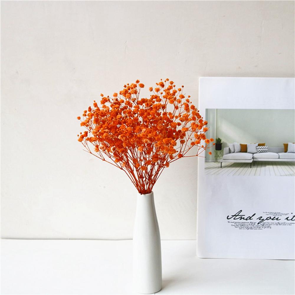 Wedding Photo Backdrop Mini Pressed Small Dried Flowers Babysbreath Bouquet Gypsophila Dry Flower