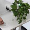 DIY modülleri – Elektronik Ürünler