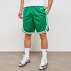 Nike Boston Celtics Icon Edition Swingman SW Fan Edition Celtics Team limited Basketball Shorts Green Men's AJ5587-312
