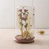 Papaver Stem and Wooden Grass 20 Cm