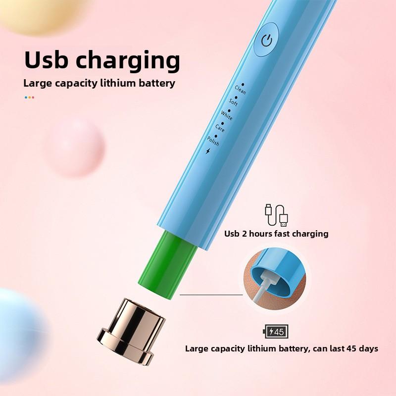 Brosse à Dents Électrique Portable Intelligente Adulte Rechargeable Sonique Brosse à Dents Électrique Vibration Poils Doux