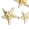 Fish Tank Starfish Decor Unique Beautiful Starfish Ornament Set for Home Aquarium DIY Photo Frame Wind Chime Type 1