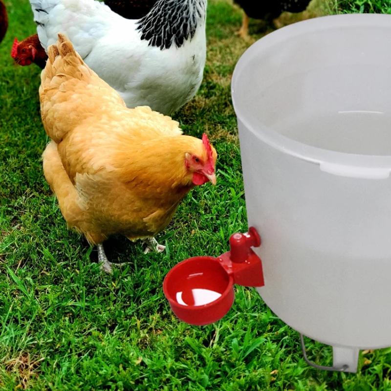 5/10/20 Bucăți Bol Automat pentru Băut Păsări de Curte, Adăpător pentru Găini, Căni, Mașină de Băut pentru Rațe, Boluri de Băut Agățate, Distribuitor de Apă