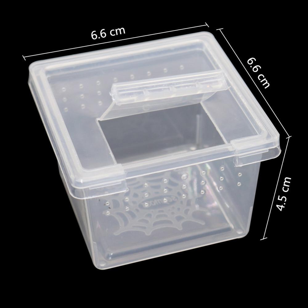 2 Pcs Plastic Reptiles Living Box Transparent Reptile Terrarium Habitat Spider Snake Transport Breeding Feeding Case