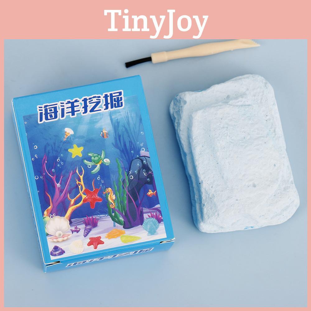 Fossilienausgrabung Meeres-Spielzeug mit handgefertigten Muscheln für Kinderspielzeug Lernspielzeug