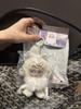 Bonecas e brinquedos macios – Brinquedos de peluches - Movies Heroes