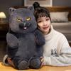 Cute Simulation British Short Blue Cat Doll Plush Toy Kitten Doll Girl Sleeping Soothing Throw Pillow Rag Doll