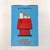 [USED] VCD SNOOPY w/ WOODSTOCK & Doghouse Non-Scale Figure