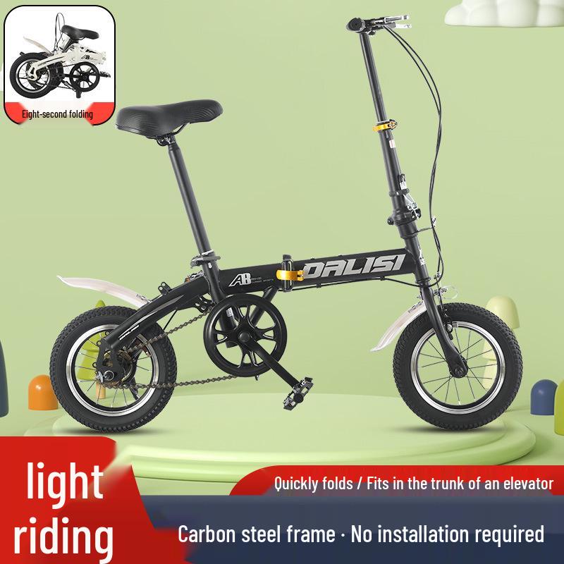Dalisi 12  Fengxing Folding Bike for