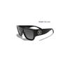 Chanel Classic Double C Logo Irregular Shape Sunglasses Women sunglasses Black CH5507-C622S8