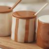 Vintage Ceramic Striped Hand Painted Spice Jars Set with Spoon Kitchen Storage Containers