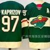 Ice Hockey Jersey Wilderness Team Embroidered Mens Womens Sports Winter Uniform Size S-XXXL