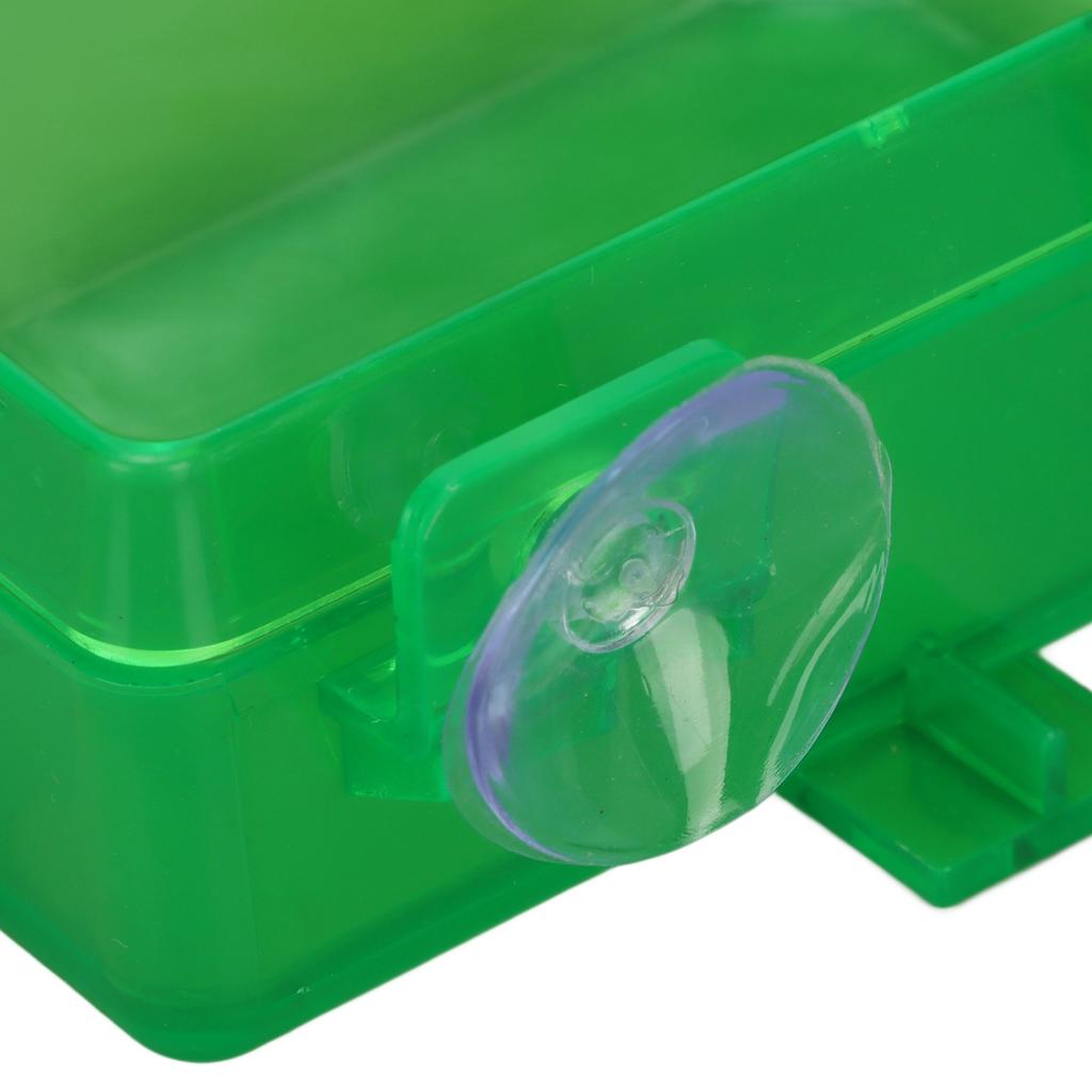 Suction Cup Reptile Feeder Escape Proof Reptile Feeding Food Water Bowl for Bearded Dragon Green