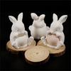 Silicone Rabbit Shaped Mold For Resin Art Concrete Jewelry Container Making And Decorative Succulent Planter Design