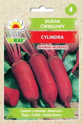 Rote-Bete-Samen, länglich, Zylinder, 10 g, Gemüse für den Garten, frisch, große Erträge
