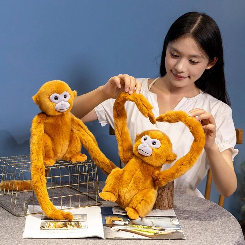 25CM Kids Gifts for Children Home Decoration Soft Monkey Animal Doll Long Arm Monkey Stuffed Toys Plush Toys Plush Doll