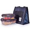 Divided Glass Food Container with Lunch Bag Set