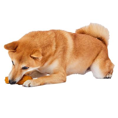 Cães – Brinquedos para cães