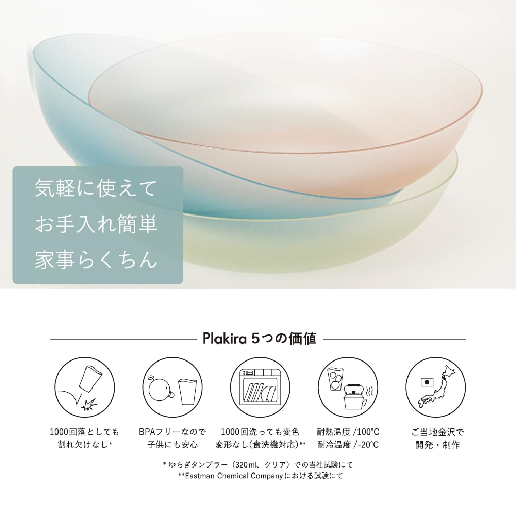 IJ Unbreakable All-Purpose Bowls and Lunch Plates, Set of 2, 21cm x 2, Dishwasher Safe, Made in Japan, Perfect for Home Parties, Outdoor Activities,
