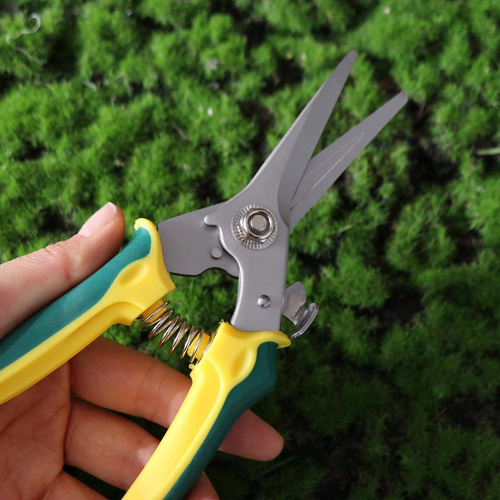 Stainless Steel Garden Pruner Safe Lock Tree Branch Trimmer Scissors Pruning Shears  Fruit Picking