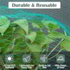 Grünes Vogelnetz – Strapazierfähiges Gartennnetz zum Schutz von Pflanzen & Obstbäumen – UV- & Frostschutz, Wiederverwendbar – Verschiedene Größen erhältlich