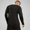 Men's Puma INDIVIDUALLIGA 1/4 ZIP sweatshirt black 65951502 r M