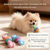 Pet Toys Dog Chew Meaty Bone Toys TPR Bone Type Multi-meat Pieces Bite Bite Resistant Teeth Toy Set Dog Bone Toy Supplies