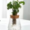 Glass Hydroponic Vase for Plants 9x9.3cm High Borosilicate Glass Propagation Station Elegant Table Decor