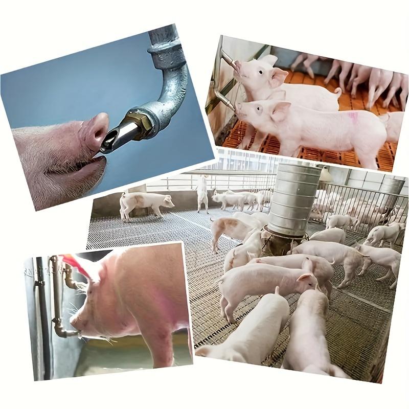 2pcs Automatic Pig Nipple Drinker-Simple, Durable&Convenient-Practical Pig Waterer-20mm-Ideal for Pet Owners & Livestock Farmers