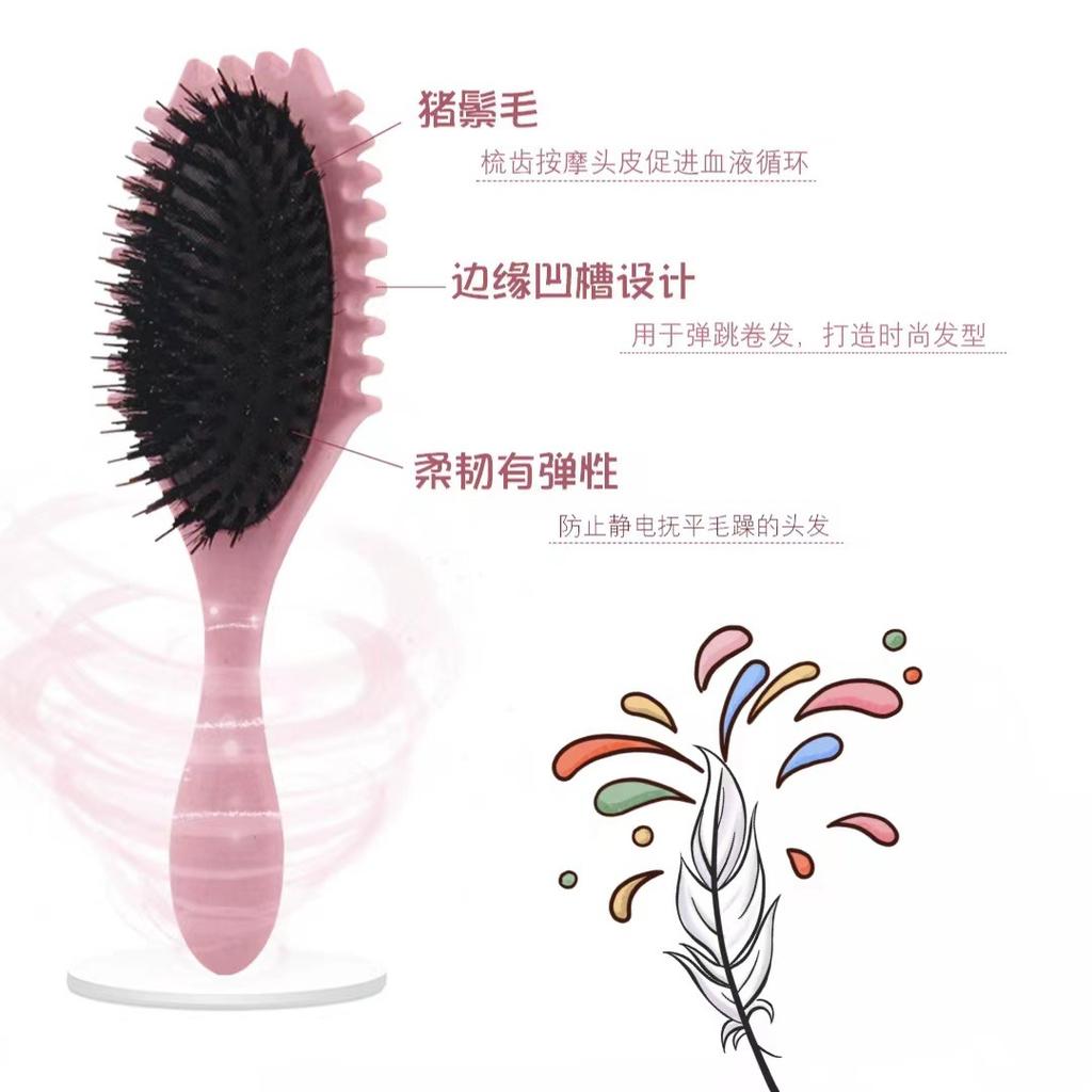 Air Cushion Curly Hair Brush with Massage Bristles Detangling Boar Bristle Styling Comb for Voluminous Bounce