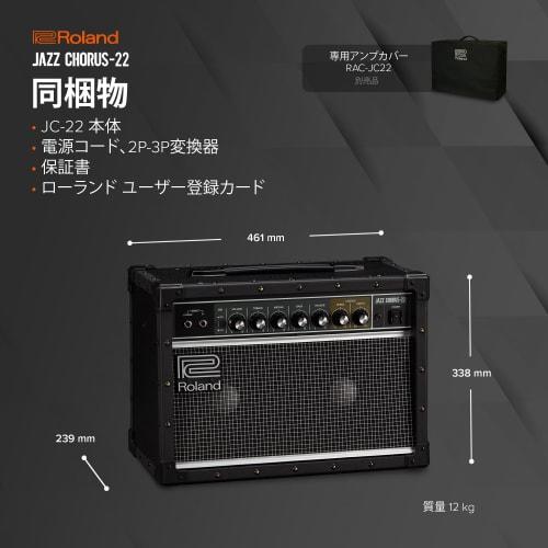 Roland/JC-22 Roland Guitar Amplifier with Jazz Chorus, 30W