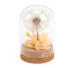 Real Dandelion Eternal Flower Natural Elegant Preserved Flower In Glass Dome for Bedroom Living Room Office