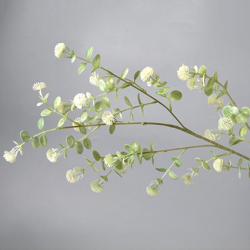 Deliciosa Liebm Monstera And Eucalyptus Citriodora Hook Green Plants Decor