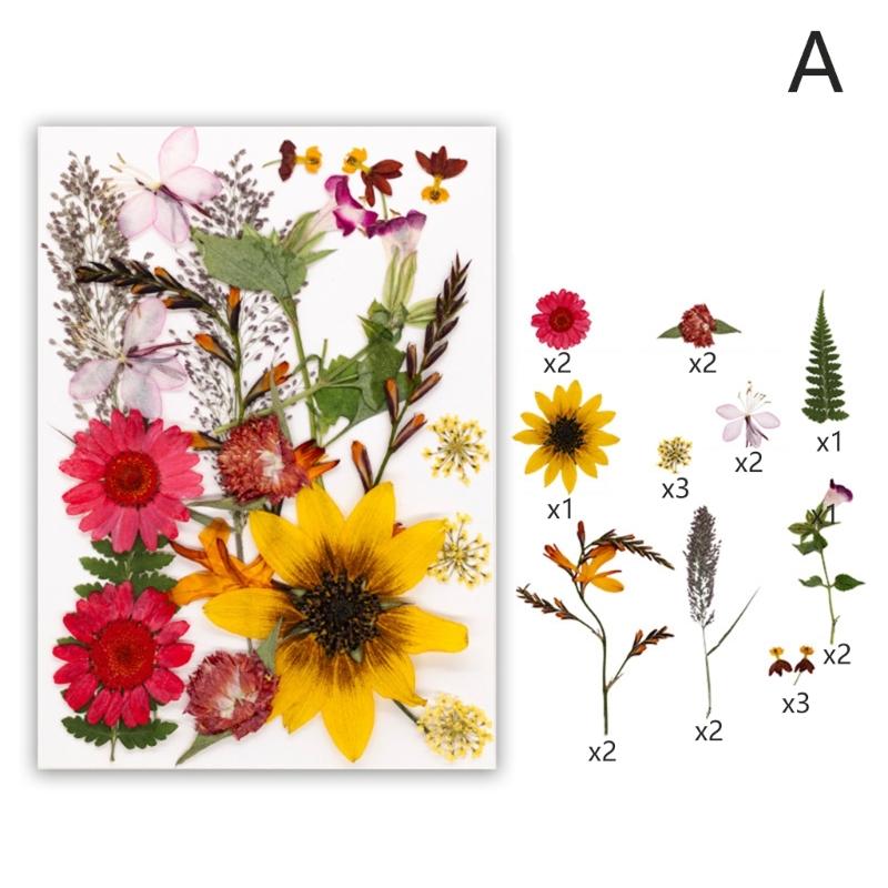 Dried Flower Leaf Kits for Epoxy Jewelry Molds Scrapbooking Supplies and Artistic Soap Making Phone Case Decoration