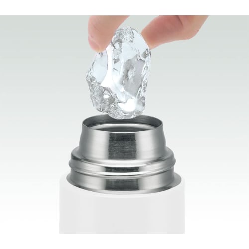 Skater Kids' Stainless Steel Water Bottle, Direct Drinking, 580ml, Maizen Sisters, SDC6N-A