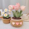 Crochet Tulip & Daisy Potted Bouquet Kit - Yarn Flowers & Ornaments