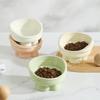 Ruhan Elevated Ceramic Cat Bowl with Stand
