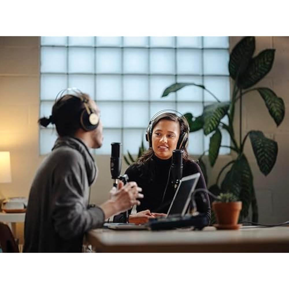 AKG (Arker Game) P120 Project Studio Line [Ideal for Vocal/instrument Recording, Durable All-meta...