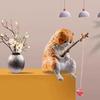 Fish Tank Fishing Cat Hanging Creative Landscape Office Ornaments Fishing Fun Mini Decorative Micro-Landscape