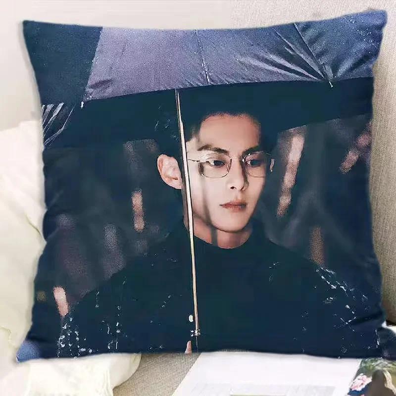 Dylan Wang Hedi Bai Lu HD Poster Double-sided Printed Pillowcase TV Only for Love Drama Stills Home Car Decor Cushion Cover