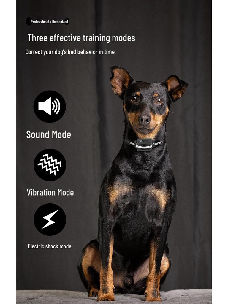 Waterproof Smart Remote Dog Trainer - Multi-Mode Bark Control for Two Dogs