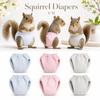 Elasticity Squirrel Diapers Absorbent Squirrel Underwear Groundhog Briefs Small Pet Diapers Rat