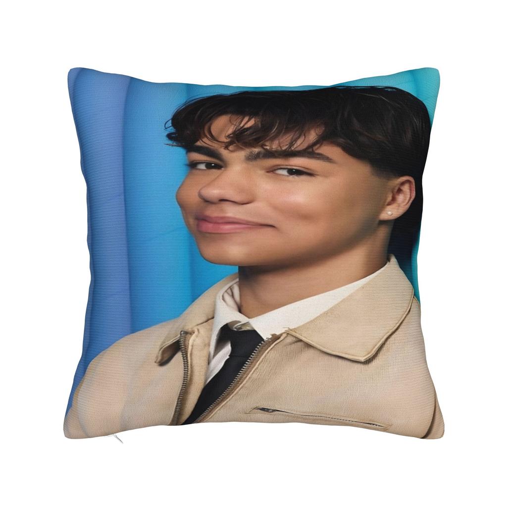 Malachi Barton Printed Pillowcase Cushion Cover Pillow Covers Warm Chair Decorations Square Multi-Size