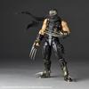 Kaiyodo Revoltech Amazing Yamaguchi Ninja Gaiden Hayabusa Style Action Figure